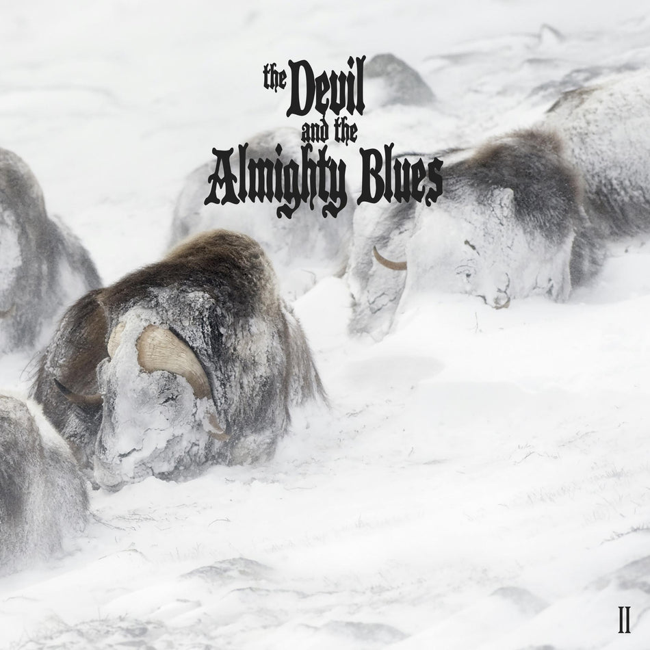 II - Front Cover