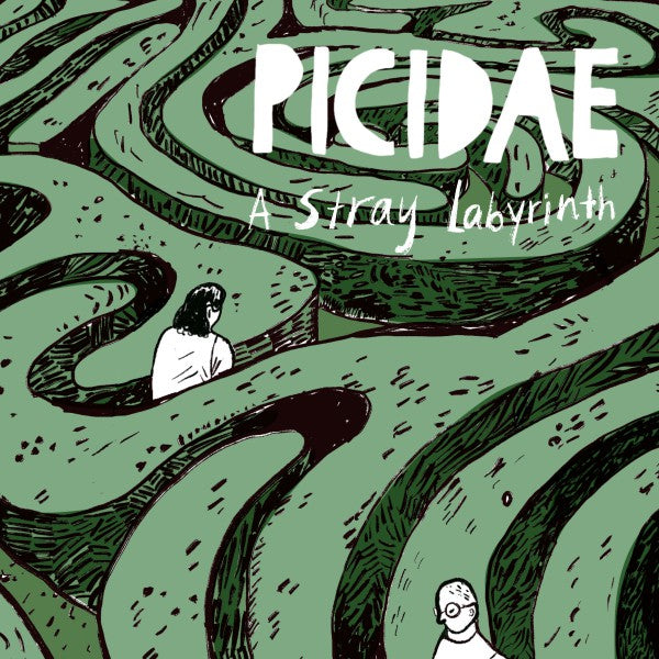 A Stray Labyrinth - Front Cover