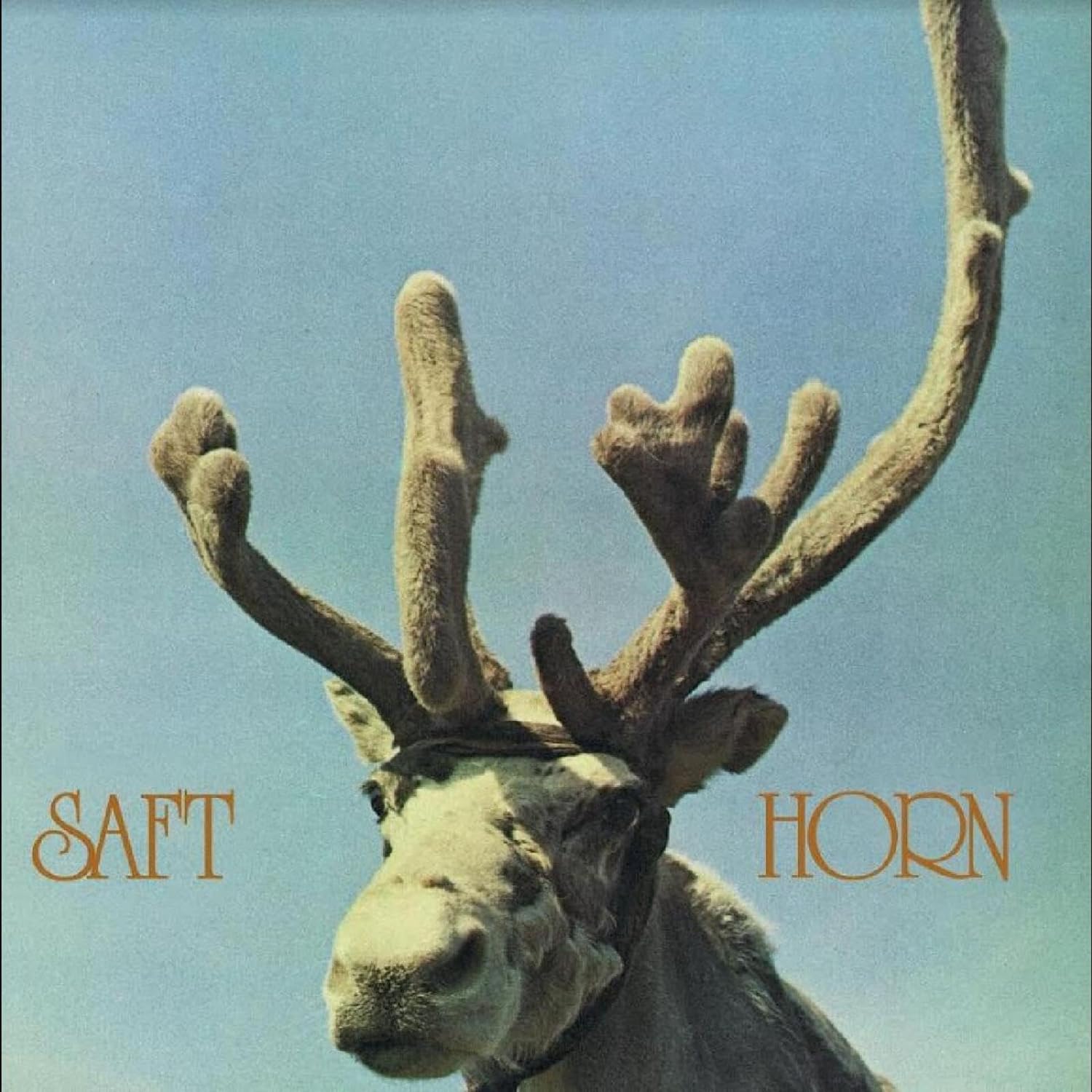 HORN - Front Cover