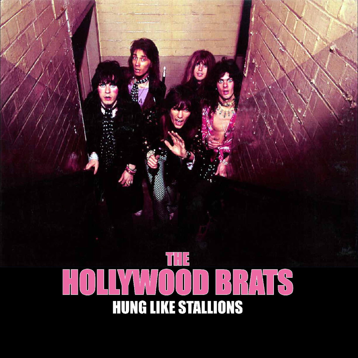 HUNG LIKE STALLIONS - Front Cover