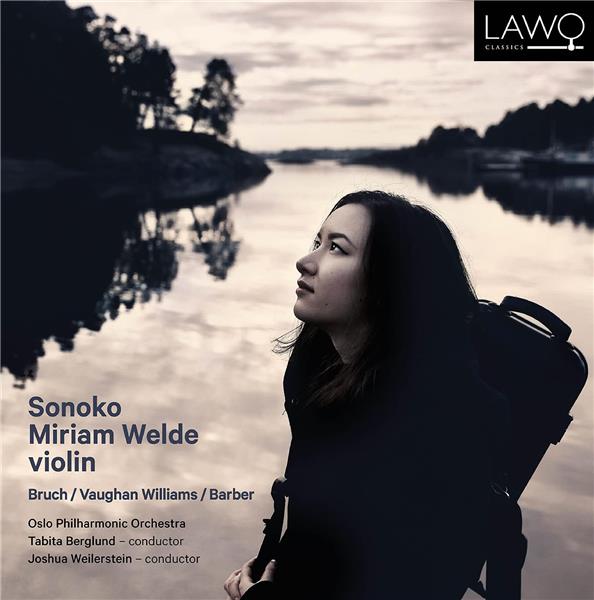 Violin Concertos Lark Ascending - Front Cover