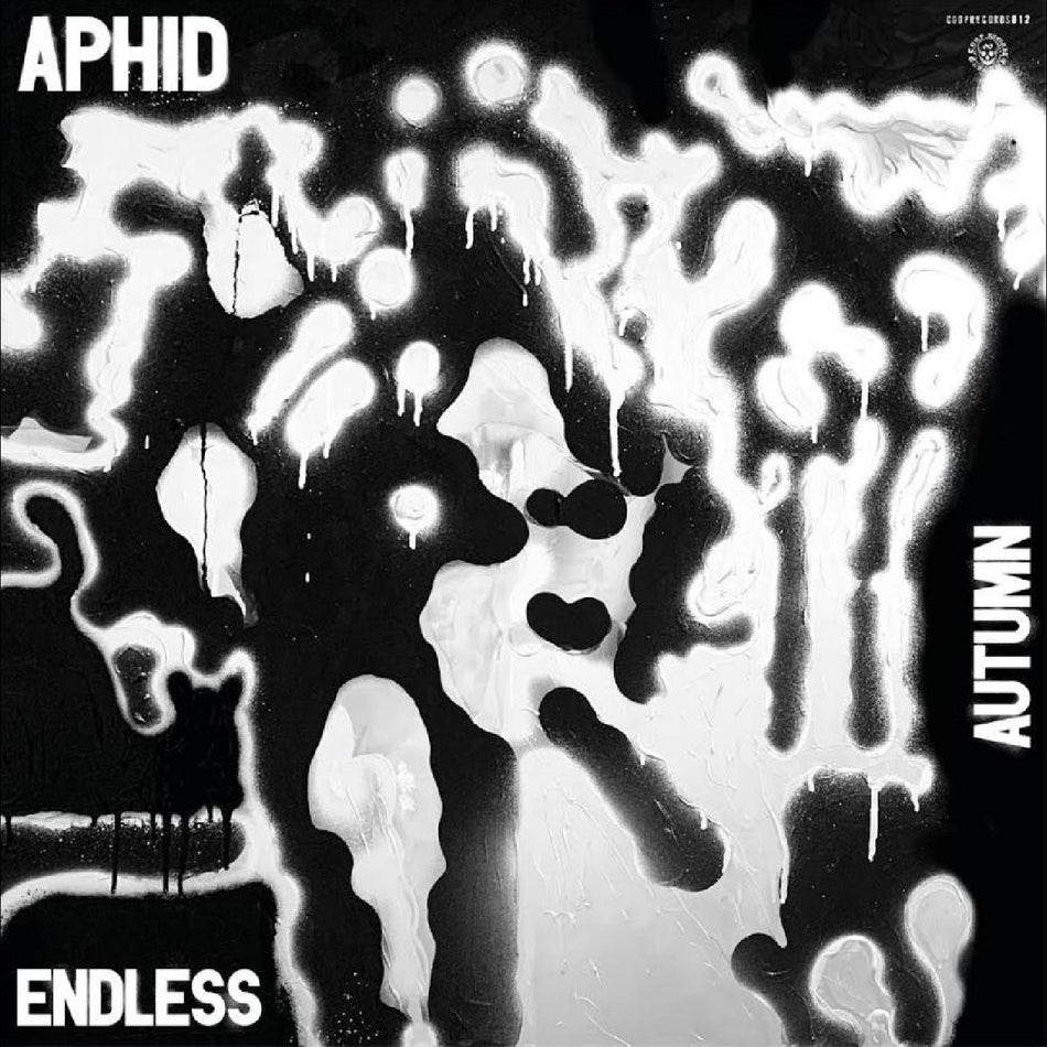 ENDLESS AUTUMN/VINYLE GRIS ARGENT - Front Cover