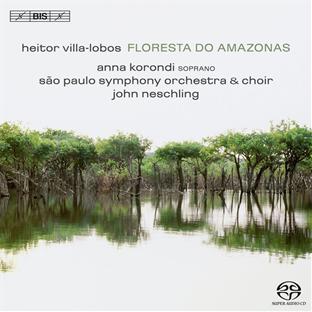 Floresta do amazonas - Front Cover