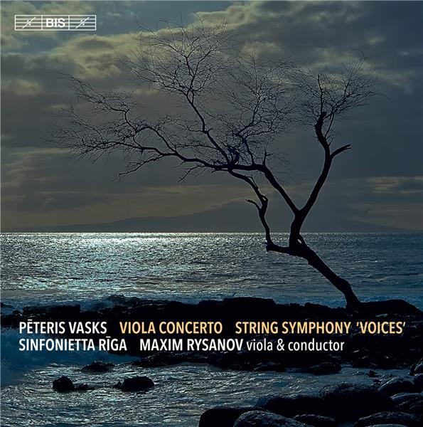 Concertos pour alto Voices - Front Cover