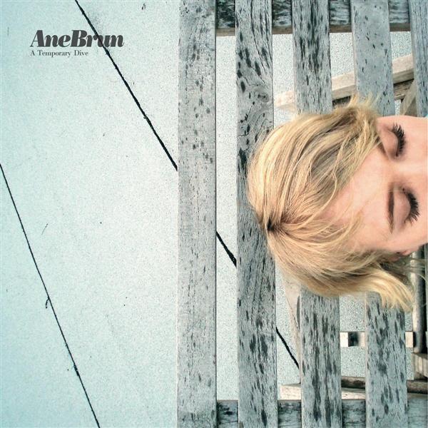 A Temporary Dive - Front Cover