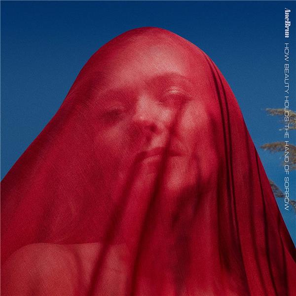 How Beauty Holds The Hand Of Sorrow - Front Cover