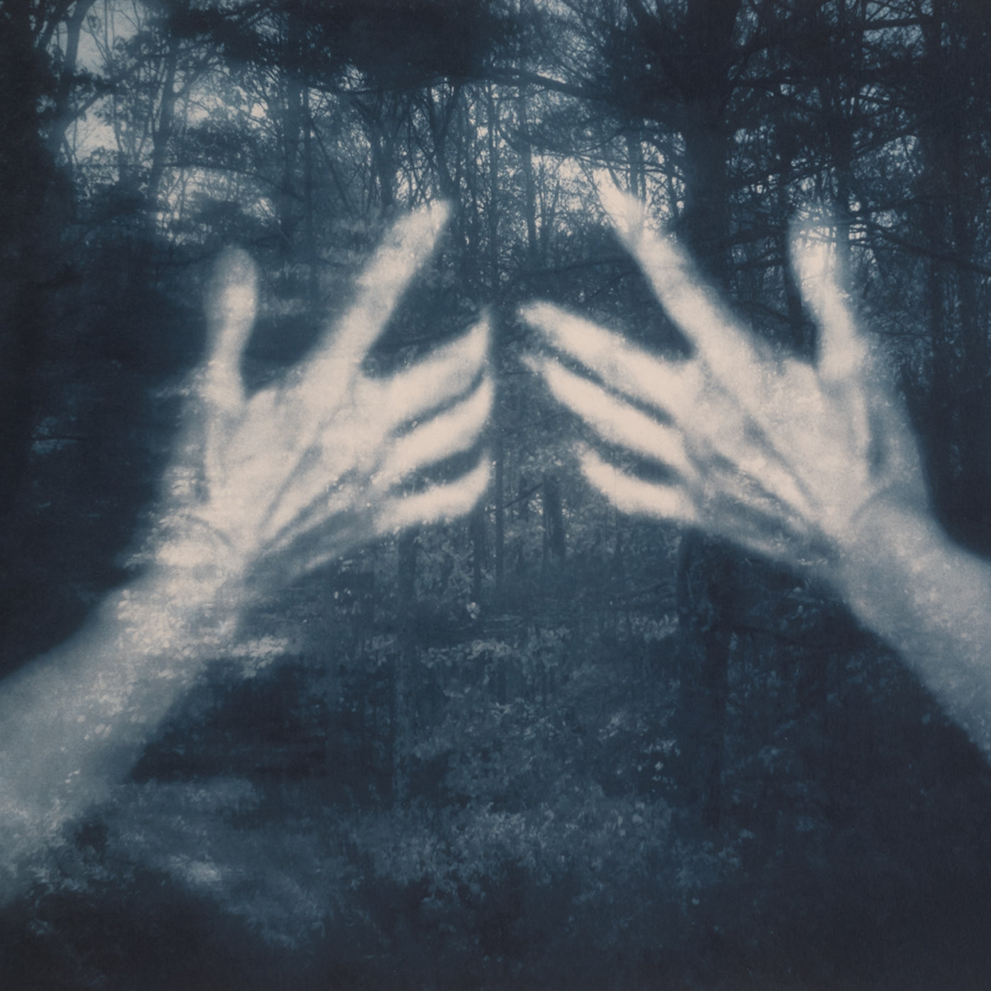 ALL THE BIRDS AND A TELEPHONE RINGING - Front Cover