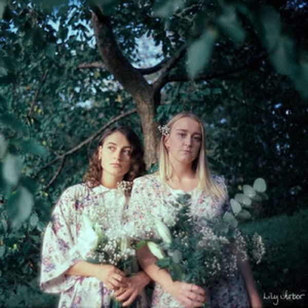 LILY ARBOR - Front Cover