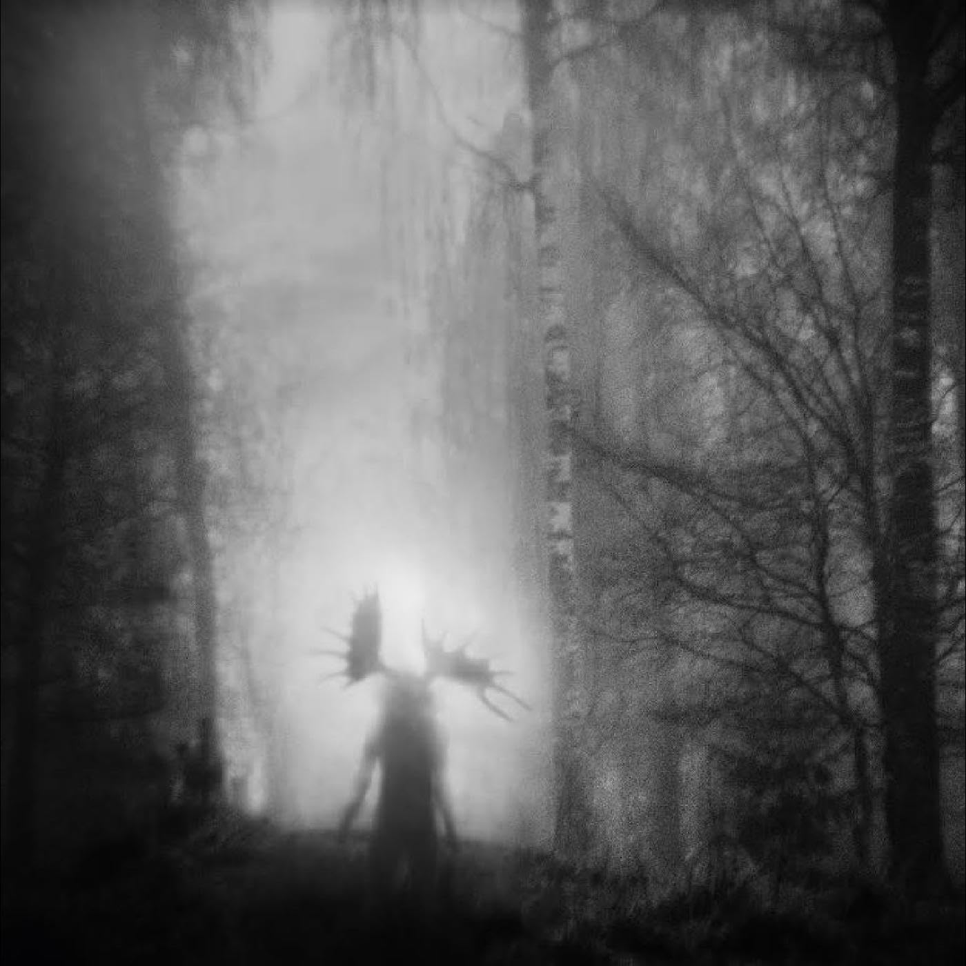 FROM THE INFINITE LIGHT - Front Cover