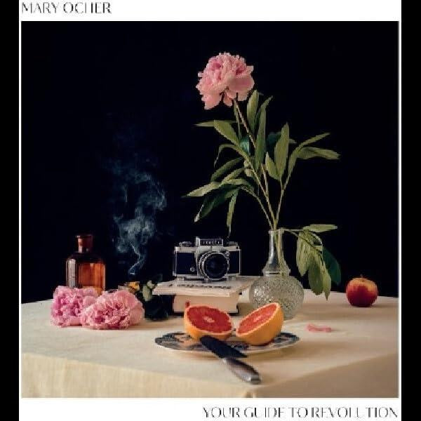 Your Guide To Revolution - Front Cover