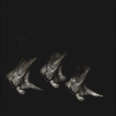 PROCESSION - Front Cover