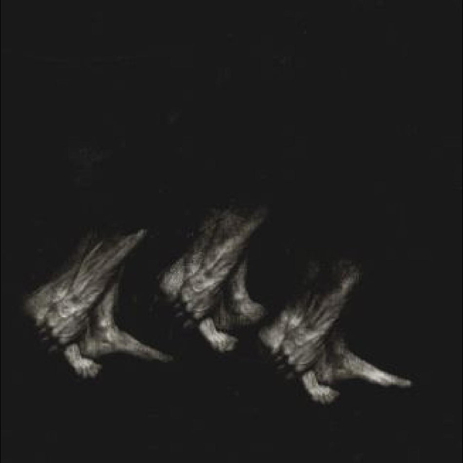 PROCESSION - Front Cover