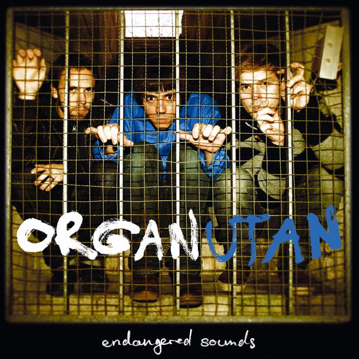 Organutan : Endangered Sounds [Vinyle] - Front Cover