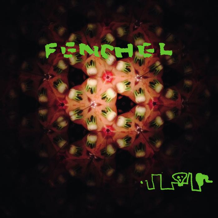 Fenchel : II [Vinyle] - Front Cover