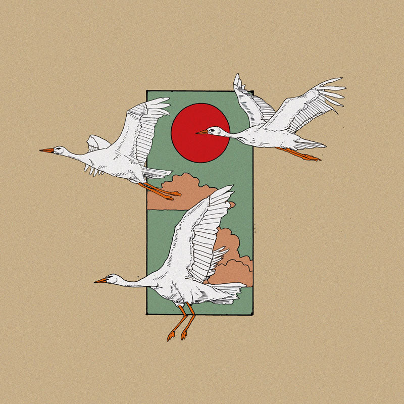 Asile - Front Cover