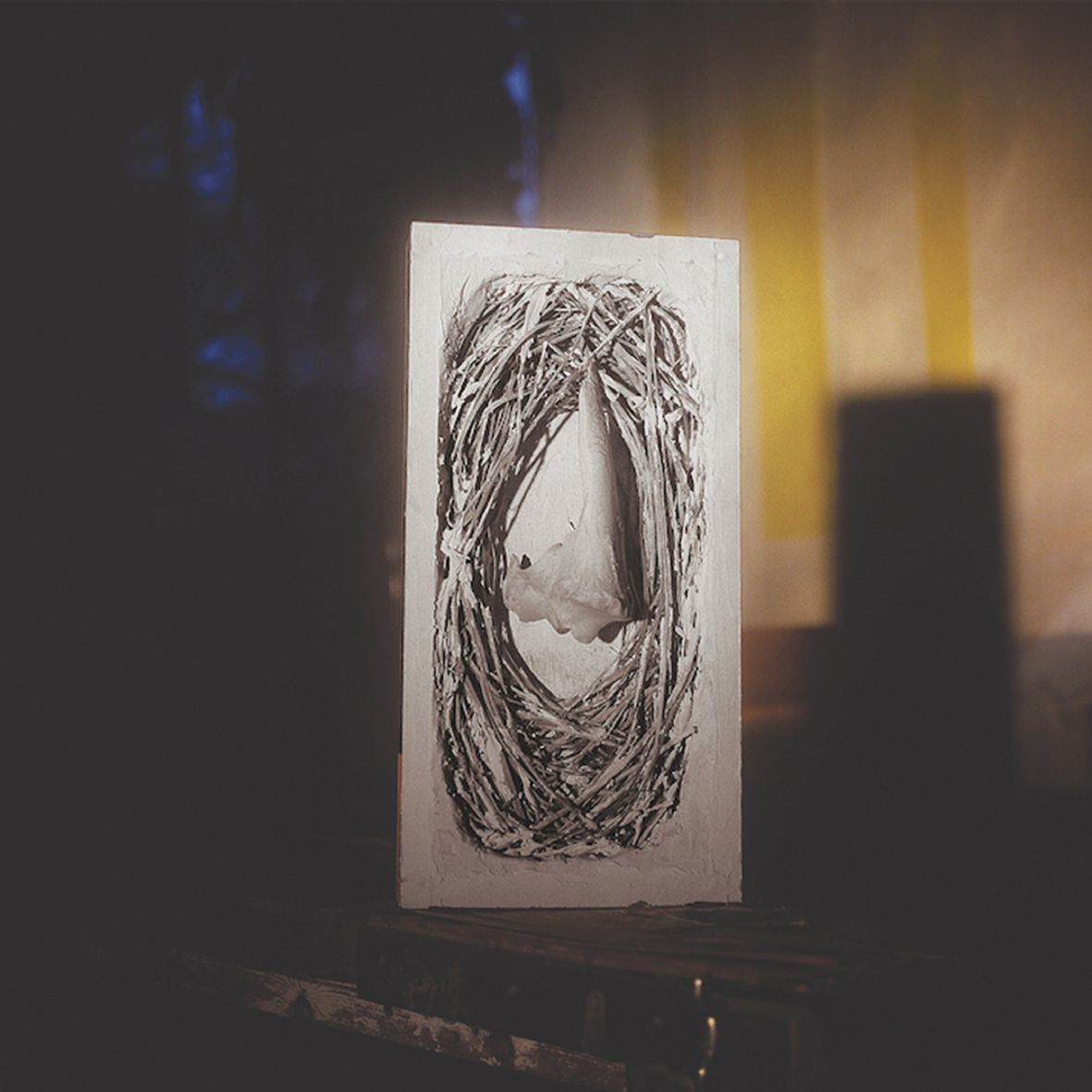 TERRAIN A MIRE - UNE MAISON RETINE - CONTRAINTE PAR LE TOIT (vinyl) - Front Cover