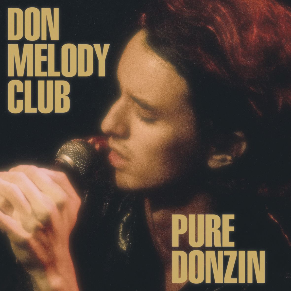 PURE DONZIN (vinyl) - Front Cover