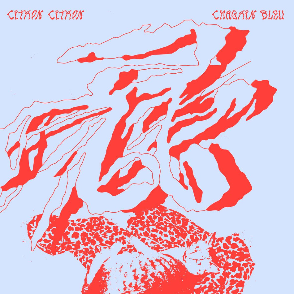 CHAGRIN BLEU (vinyl) - Front Cover