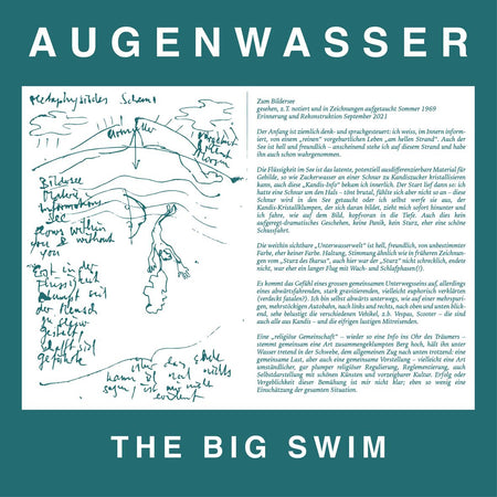 THE BIG SWIM (vinyl) - Front Cover