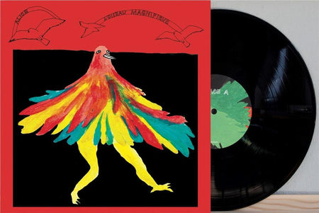 L'oiseau magnifique - Front Cover