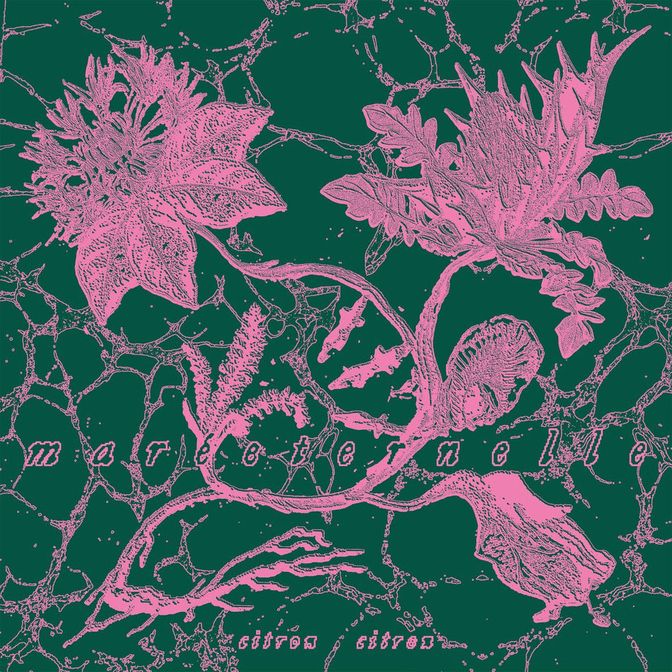 MAREETERNELLE (vinyl) - Front Cover