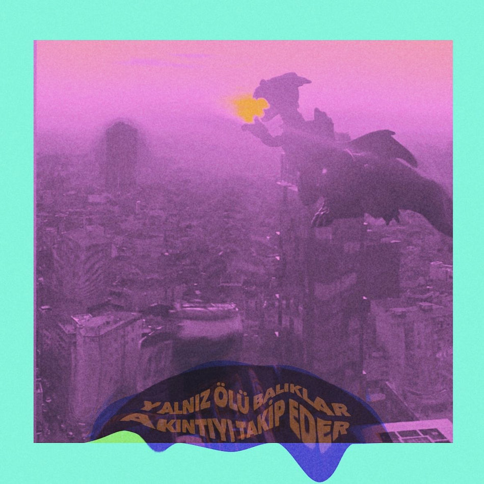 YALNIZ ÖLÜ BALIKLAR AKINTIYI TAKIP EDER (vinyl) - Front Cover