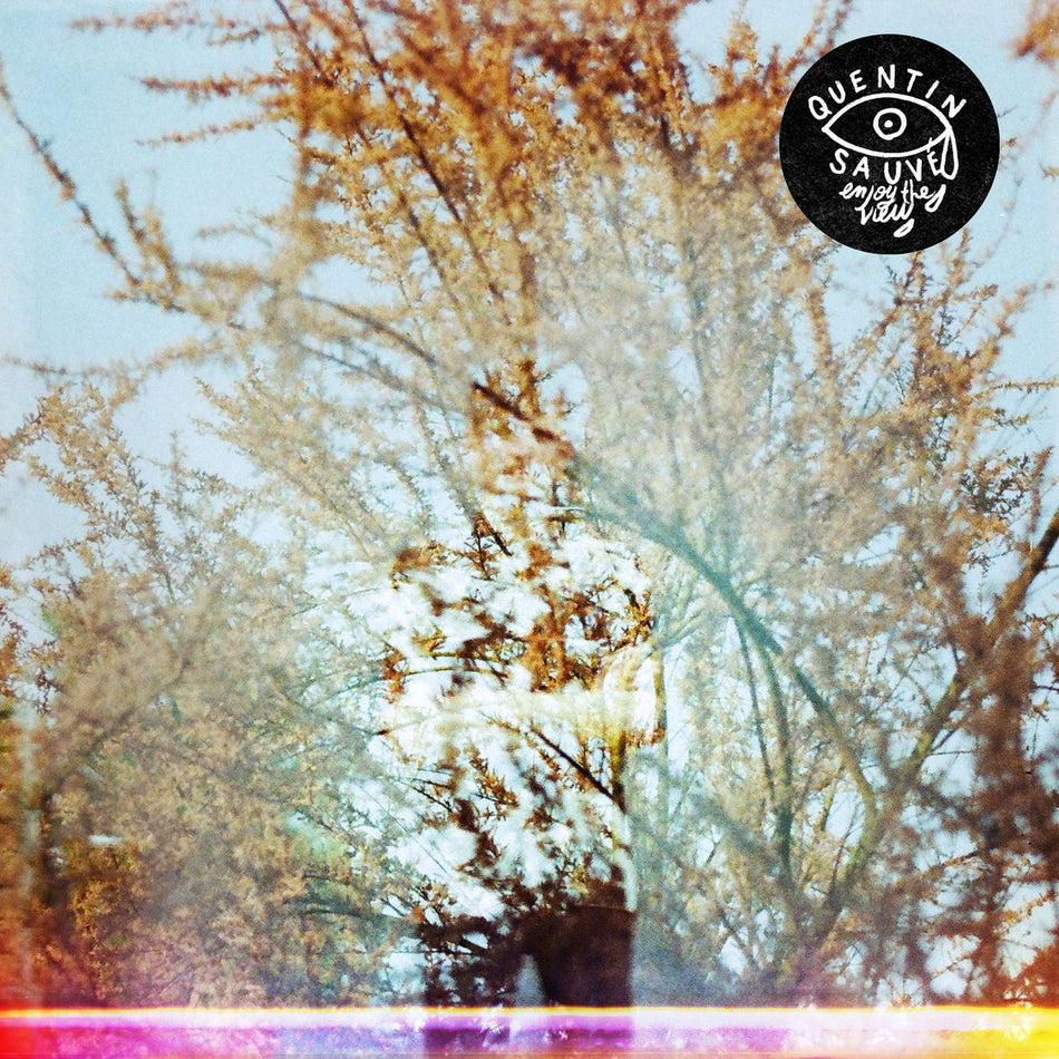 ENJOY THE VIEW (vinyl) - Front Cover