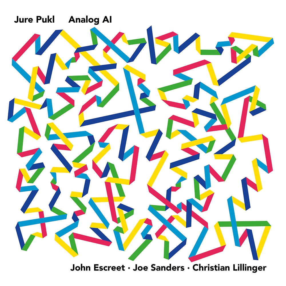 Analog AI (Vinyle LP) / Jure Pukl - Front Cover