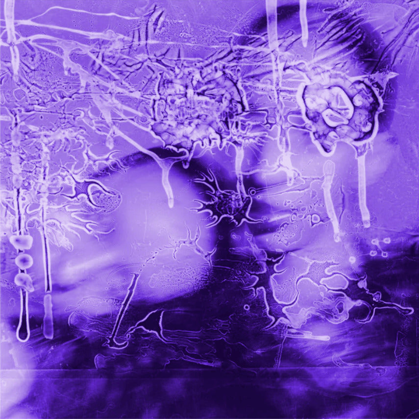 i Got a Song, It’s Gonna Make us Millions/Transparent Purple Vinyl - Front Cover