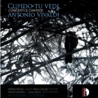Cupido tu vedi - Concerto - Cantates - Front Cover