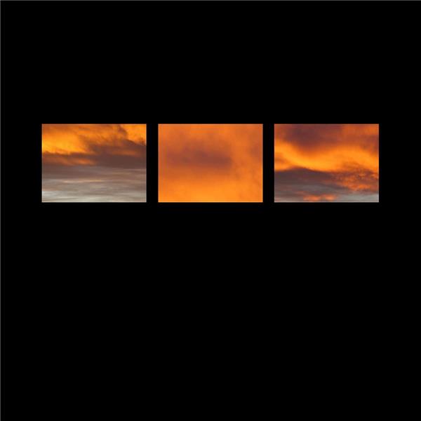 The Suncrows Fall And Tree - Front Cover