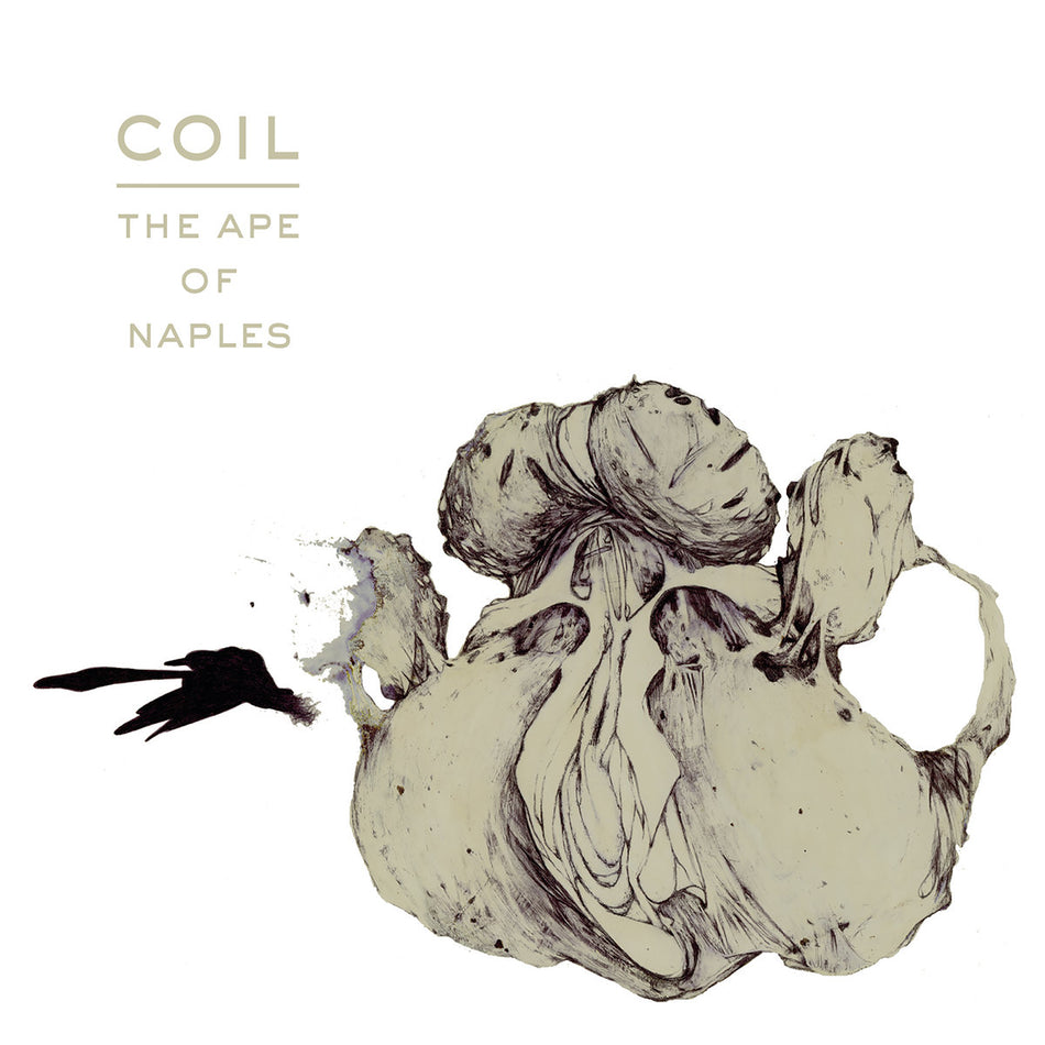 Ape of Naples - Front Cover