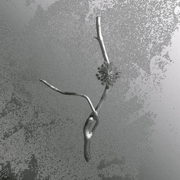 La Maccaia - Front Cover