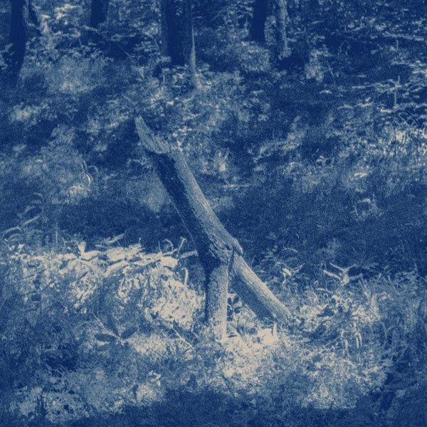 Al Suo Riposo/In Luce - Front Cover