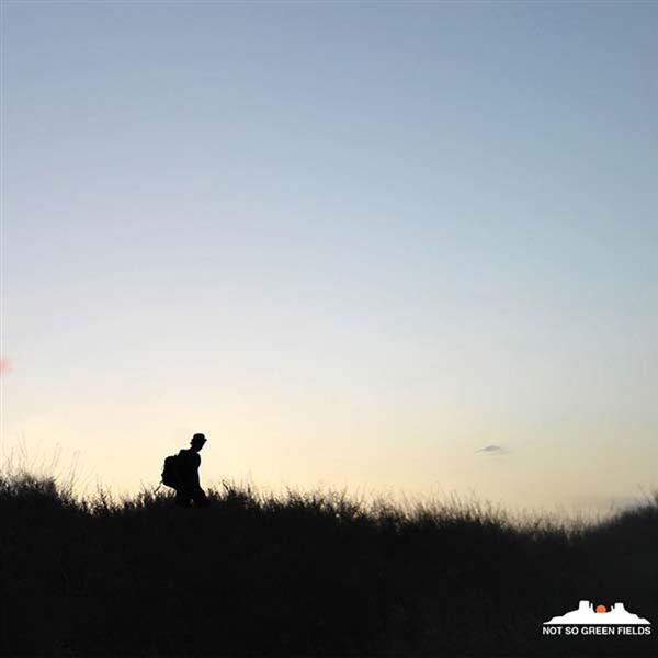 Not so green fields - Front Cover