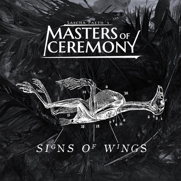 Signs Of Wings - Front Cover
