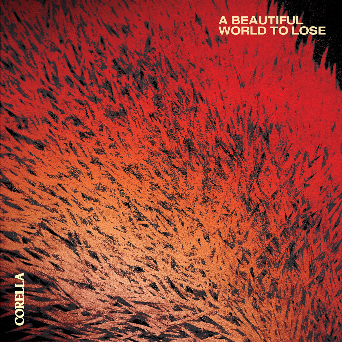 A Beautiful World To Lose - Front Cover