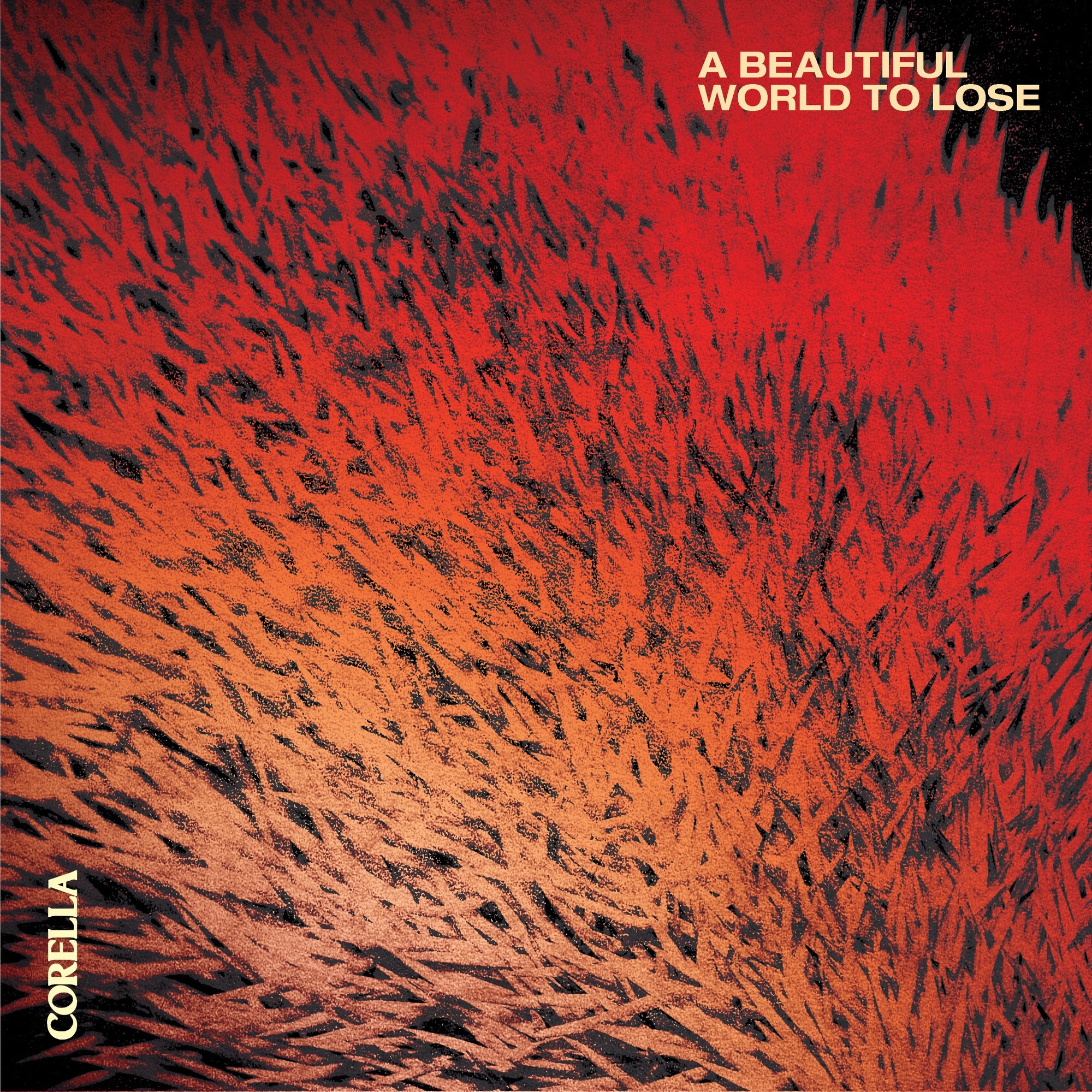 A Beautiful World To Lose - Front Cover