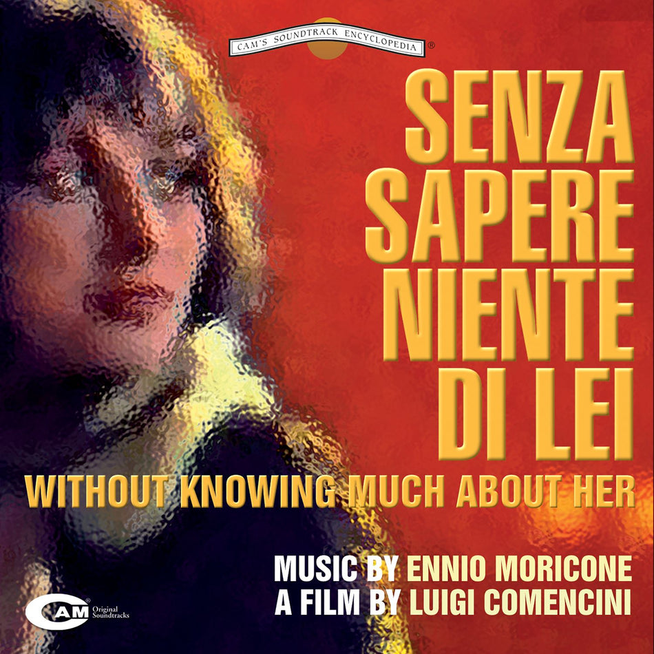 Senza sapere niente di lei - Front Cover