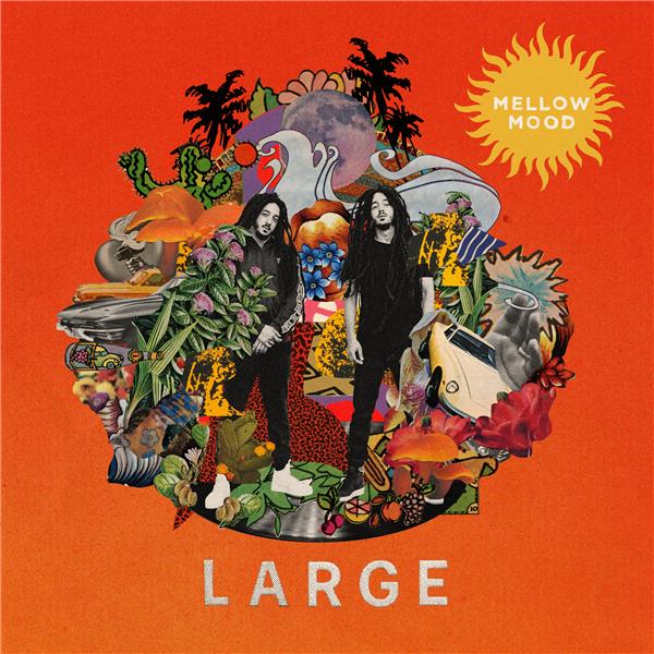 Large - Front Cover
