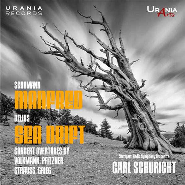 Manfred Sea Drift - Front Cover