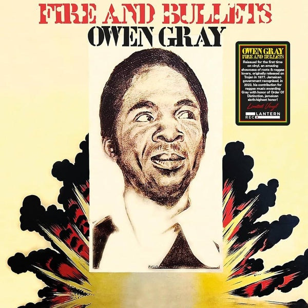 Fire And Bullets - Vinyle - Front Cover
