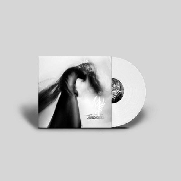 Looking For Transcendence - Front Cover