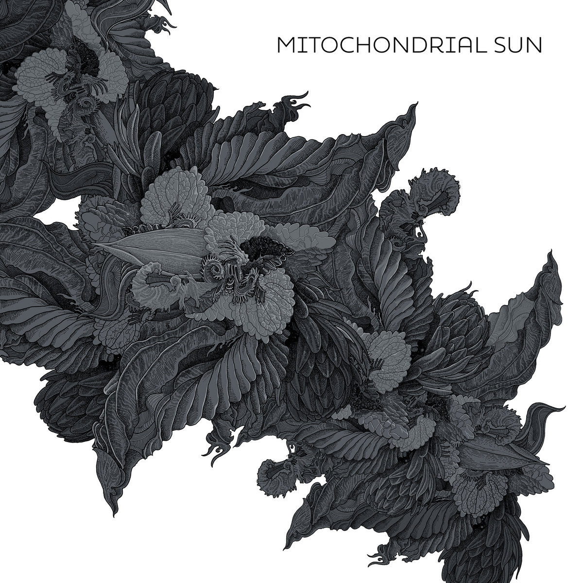 Mitochondrial Sun - Front Cover
