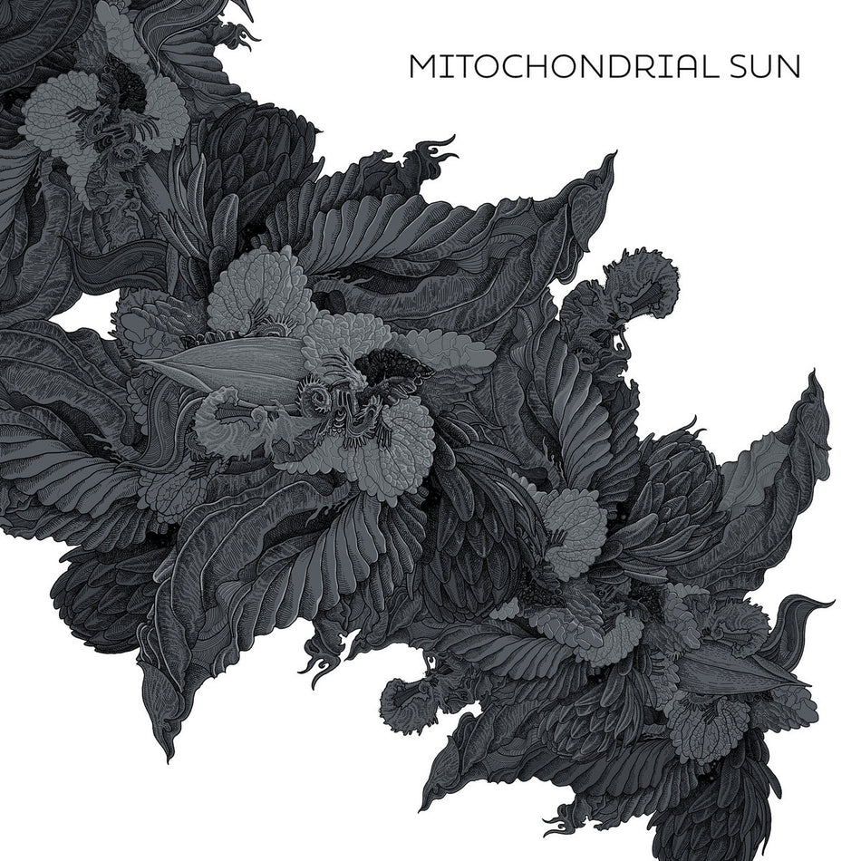 Mitochondrial Sun - Front Cover