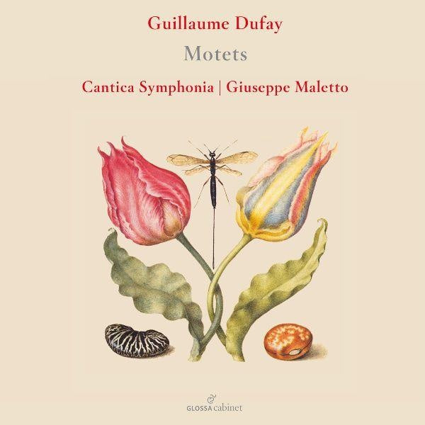 Motets - Front Cover