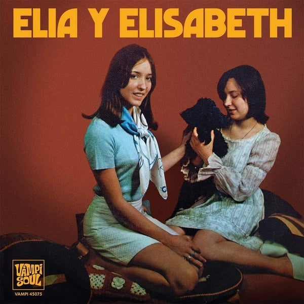Fue Una Lagrima - Cae La Lluvia - Front Cover