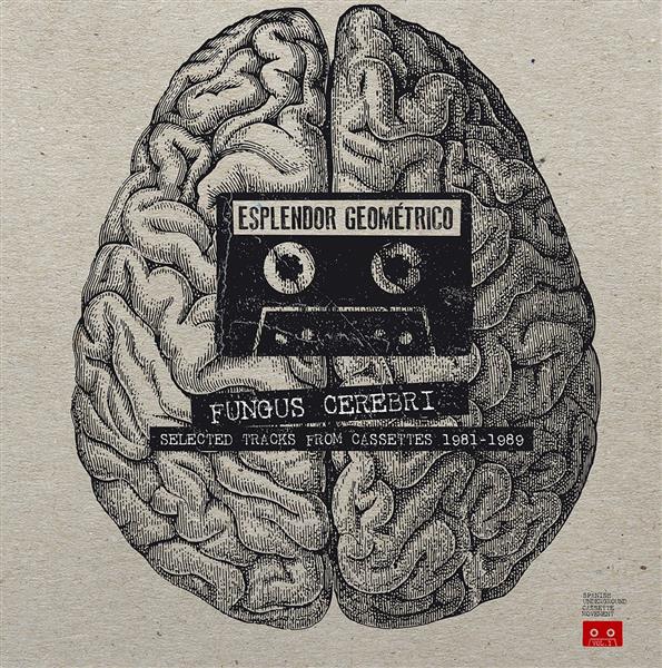 Fungus Cerebri - Front Cover