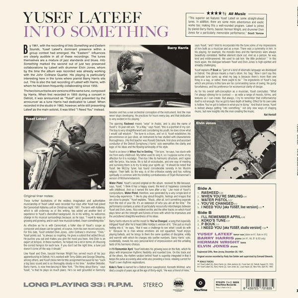 Into Something - Front Cover