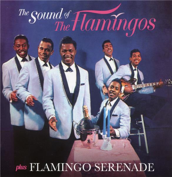 The sound of + flamingo serenade - Front Cover